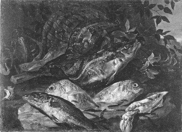 Sotheby's — Porpora Paolo - sec. XVII - Natura morta con pesci — insieme